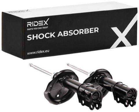 Ridex 854S1722 Shock Absorber, photo 2