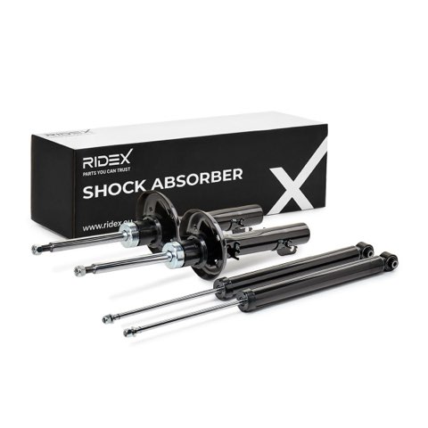 Ridex 854S1724 Shock Absorber, photo 2