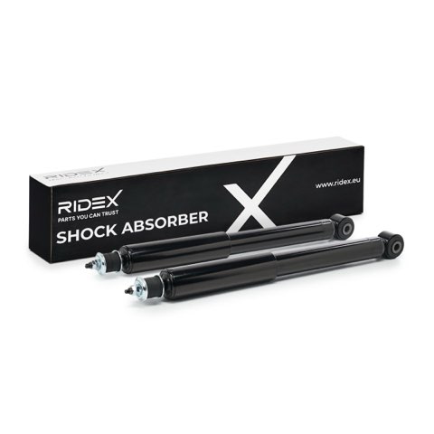 Ridex 854S1728 Shock Absorber, photo 2