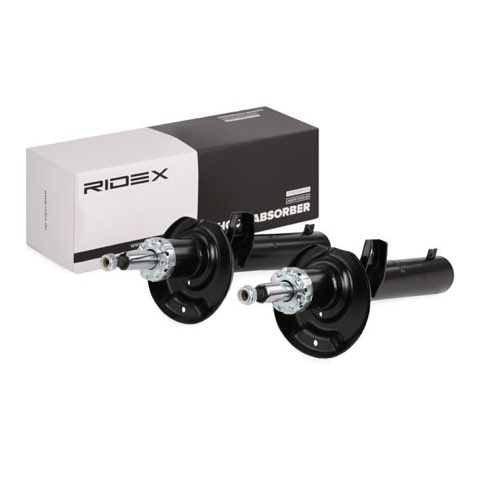 Ridex 854S1731 Shock Absorber, photo 3