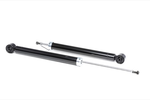Ridex 854S1734 Shock Absorber