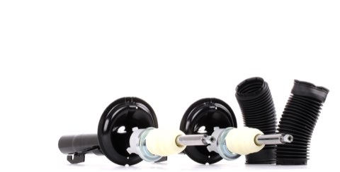 Ridex 854S1746 Shock Absorber