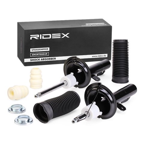 Ridex 854S1746 Shock Absorber, photo 2