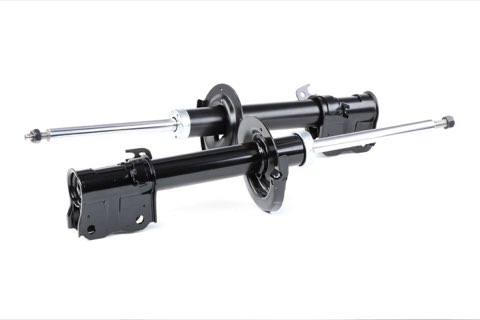 Ridex 854S1773 Shock Absorber