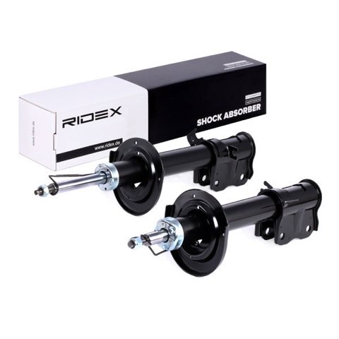 Ridex 854S1773 Shock Absorber, photo 3