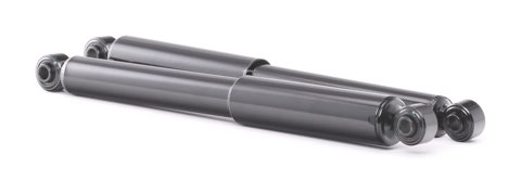 Ridex 854S17772 Shock Absorber
