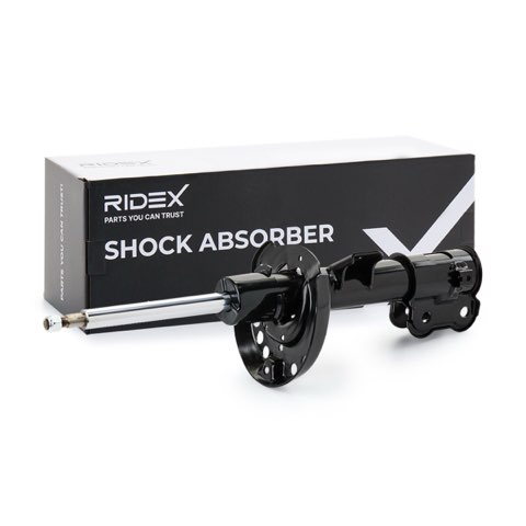 Ridex 854S17787 Shock Absorber