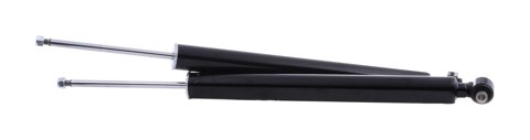 Ridex 854S17799 Shock Absorber
