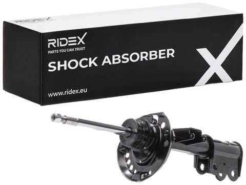 Ridex 854S17821 Shock Absorber