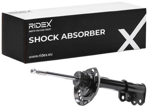 Ridex 854S17822 Shock Absorber