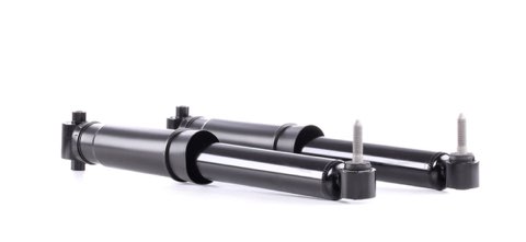 Ridex 854S17825 Shock Absorber
