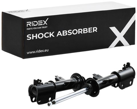 Ridex 854S17831 Shock Absorber