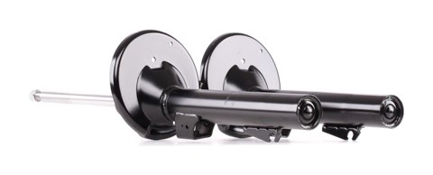 Ridex 854S17840 Shock Absorber, photo 2
