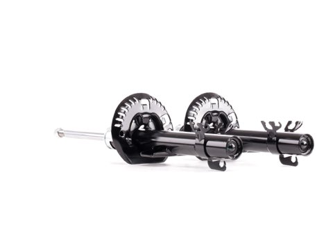 Ridex 854S17843 Shock Absorber