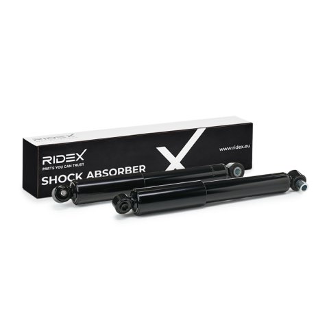 Ridex 854S17848 Shock Absorber