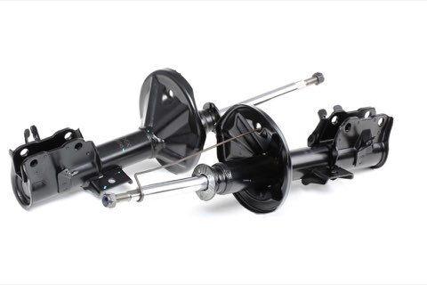 Ridex 854S1787 Shock Absorber