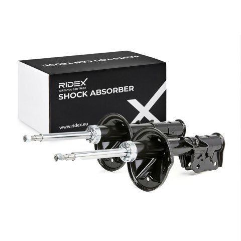 Ridex 854S1787 Shock Absorber, photo 2