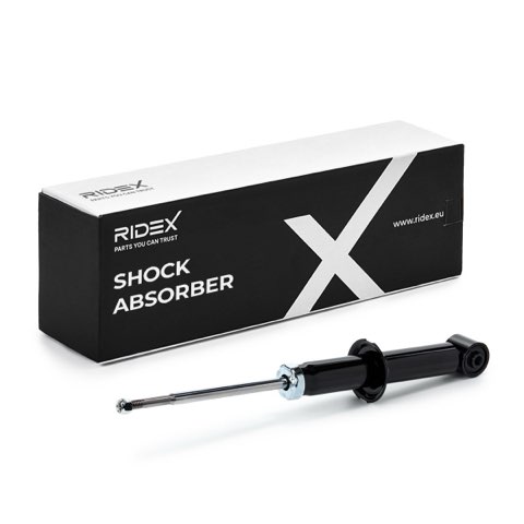 Ridex 854S17873 Shock Absorber
