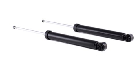 Ridex 854S1791 Shock Absorber