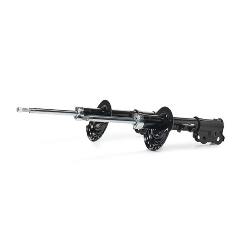 Ridex 854S17946 Shock Absorber, photo 2