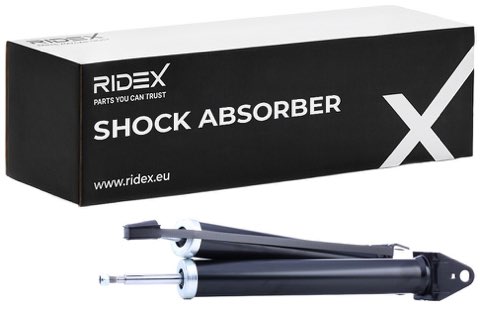 Ridex 854S17961 Shock Absorber