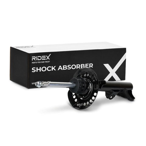 Ridex 854S17991 Shock Absorber