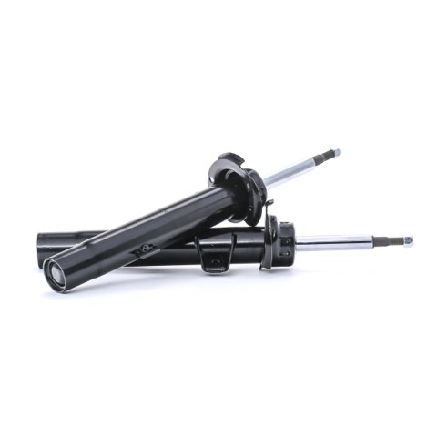 Ridex 854S18001 Shock Absorber, photo 2