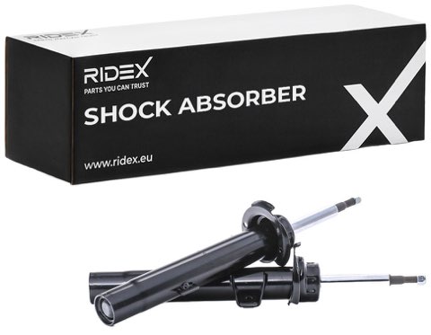 Ridex 854S18001 Shock Absorber