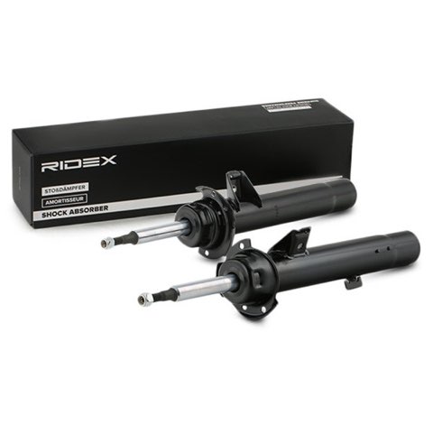 Ridex 854S18001 Shock Absorber, photo 3