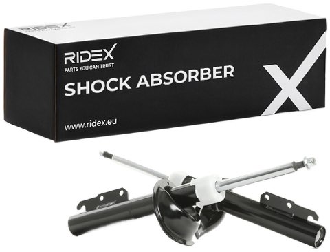 Ridex 854S18012 Shock Absorber