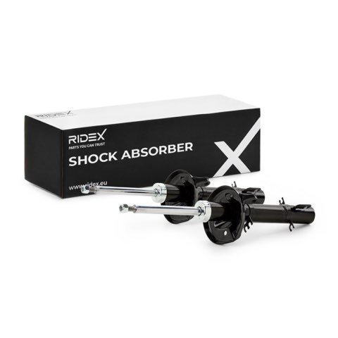 Ridex 854S1804 Shock Absorber, photo 2