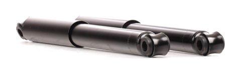 Ridex 854S18054 Shock Absorber
