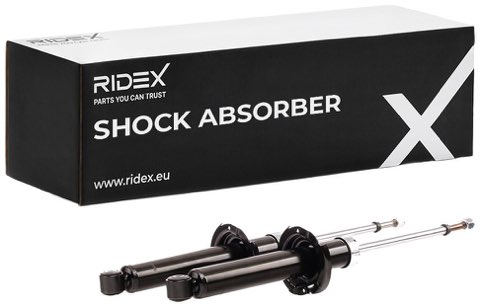 Ridex 854S18069 Shock Absorber
