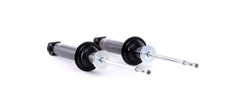 Ridex 854S1810 Shock Absorber