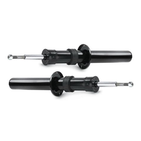 Ridex 854S18101 Shock Absorber, photo 2