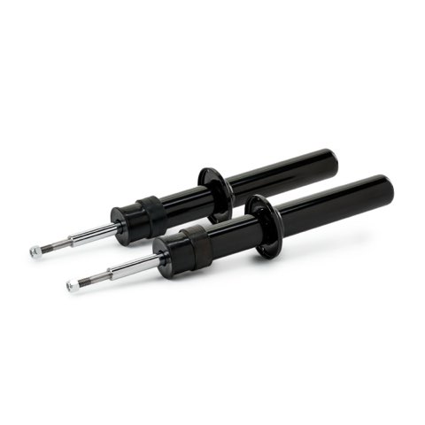 Ridex 854S18101 Shock Absorber, photo 3