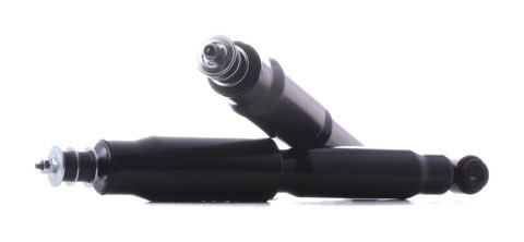 Ridex 854S18102 Shock Absorber