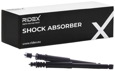 Ridex 854S18109 Shock Absorber