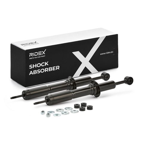 Ridex 854S18128 Shock Absorber