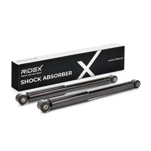Ridex 854S1815 Shock Absorber, photo 2