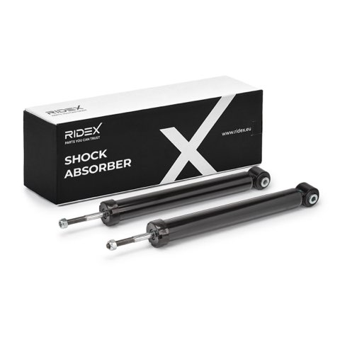 Ridex 854S18171 Shock Absorber