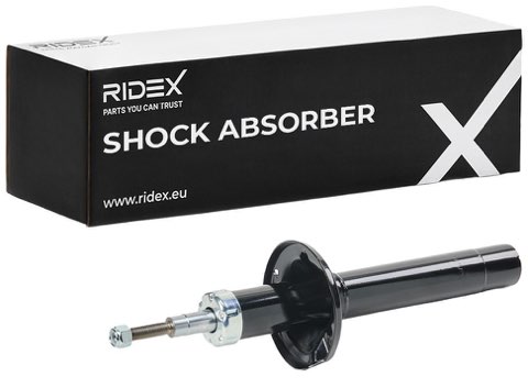 Ridex 854S18173 Shock Absorber