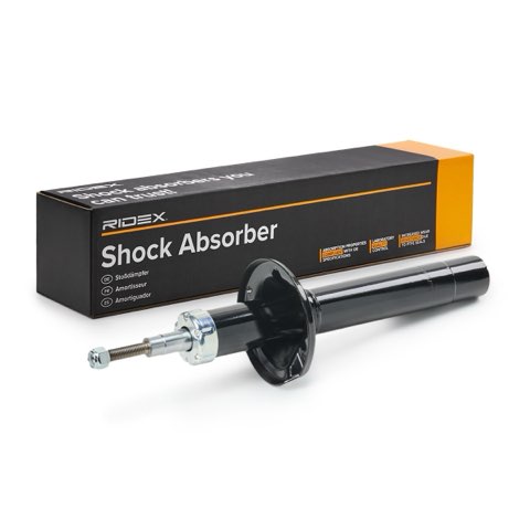 Ridex 854S18173 Shock Absorber, photo 2
