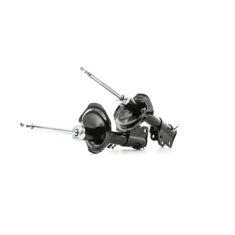 Ridex 854S1819 Shock Absorber