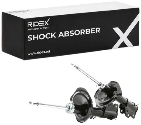 Ridex 854S1819 Shock Absorber, photo 2