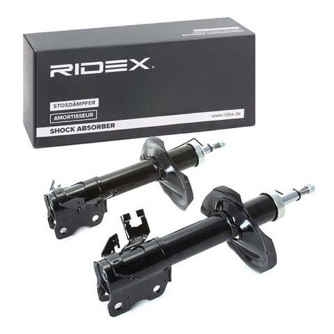 Ridex 854S1819 Shock Absorber, photo 3
