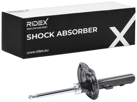 Ridex 854S18193 Shock Absorber