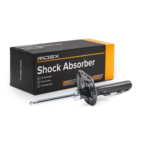 Ridex 854S18193 Shock Absorber, photo 2