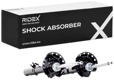 Ridex 854S18195 Shock Absorber