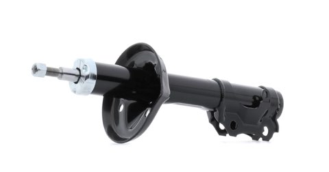 Ridex 854S18206 Shock Absorber